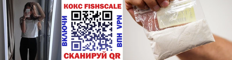 где купить наркоту  Вытегра  Cocaine FishScale 
