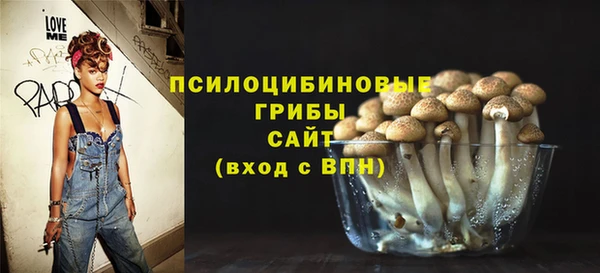 мдпв Абаза