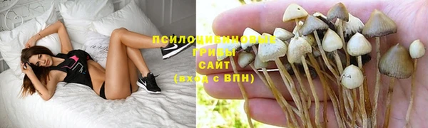 apvp Рославль